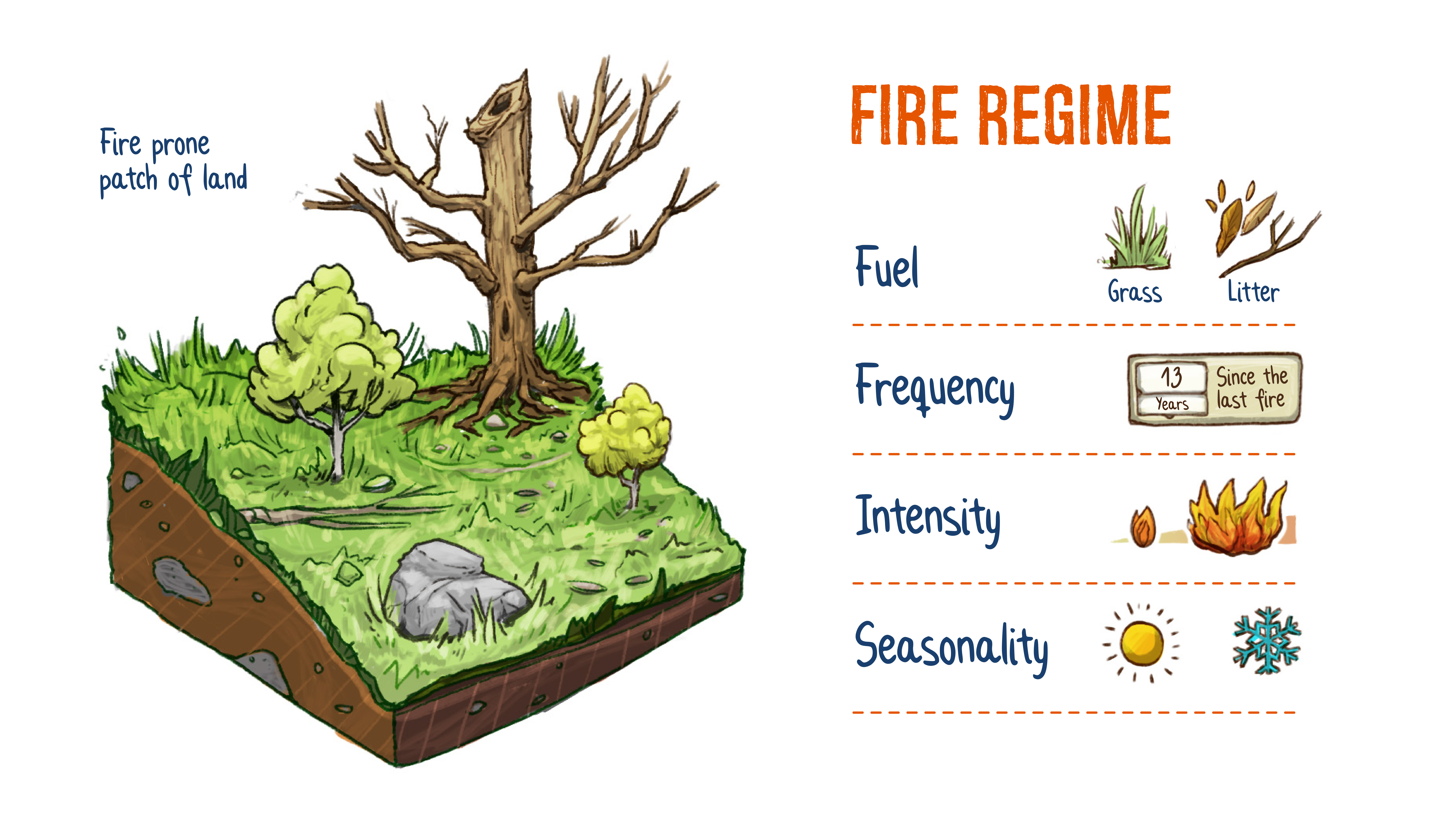 Fire Regime