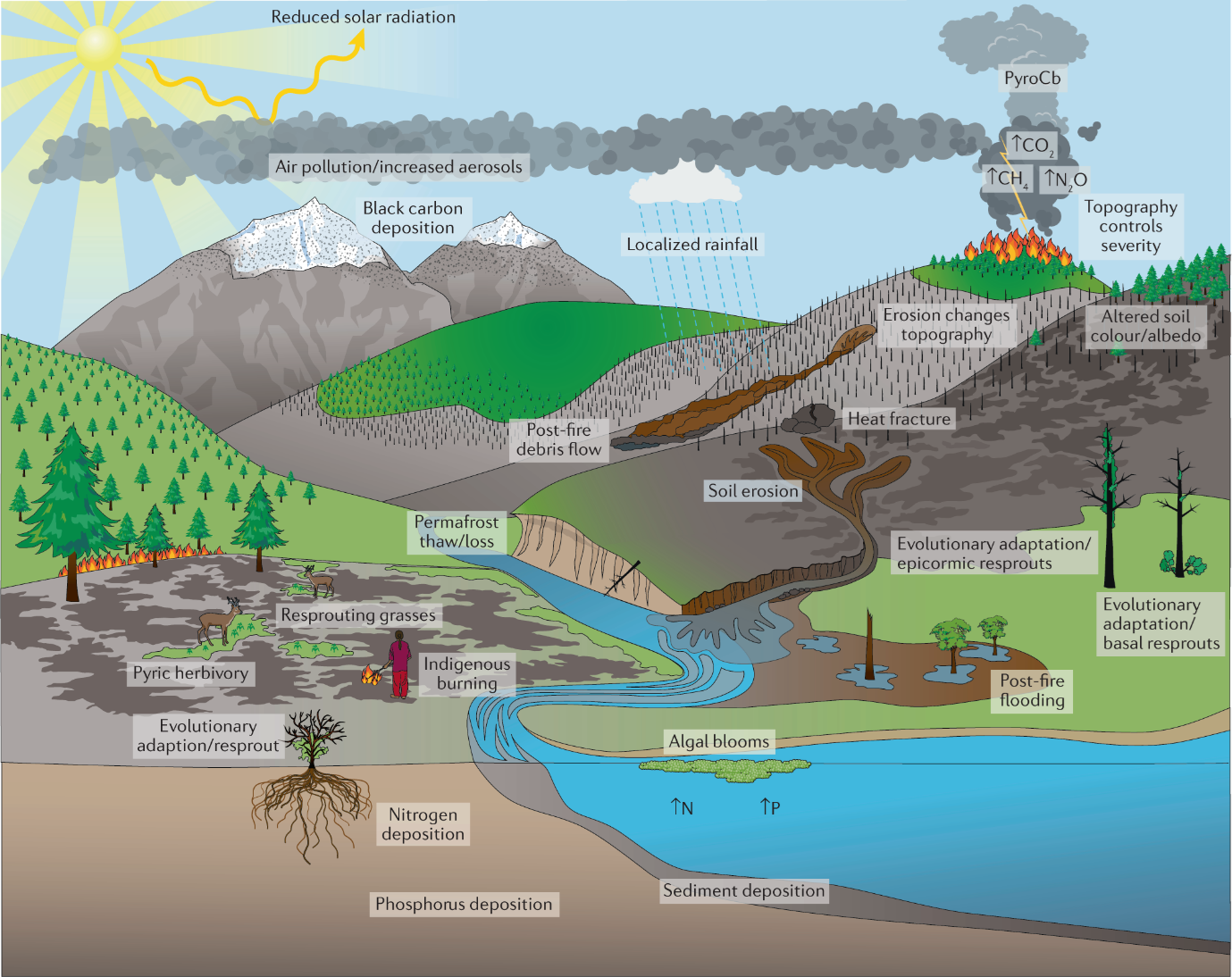 Vegetation fires in the Anthropocene